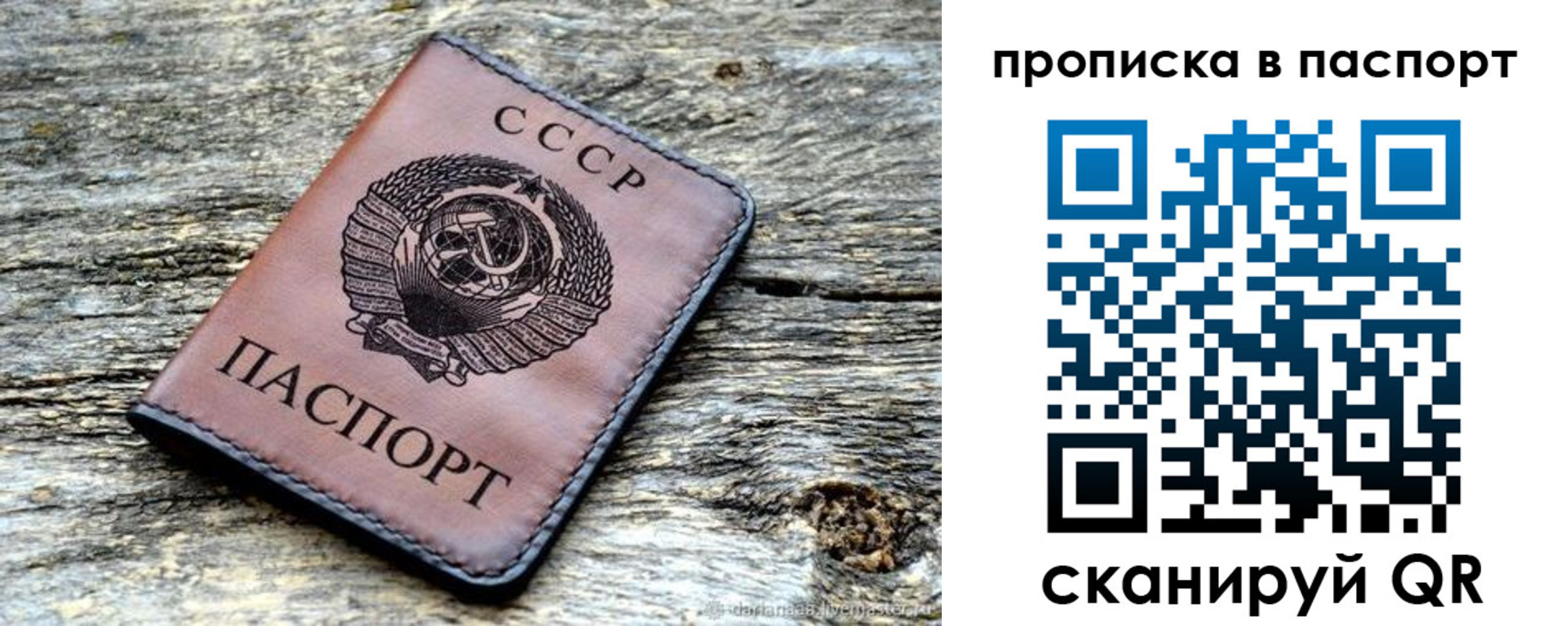 прописка ребенка в Новозыбкове